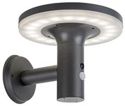 Corp de iluminat LED solar cu senzor ALASKA LED/10W/3,7V IP44 Rabalux 77017