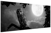 Tablou cu bufnița nocturnă (120x50 cm), în 40 de alte dimensiuni noi