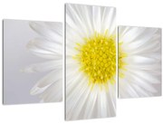 Tablou - Margarita (90x60 cm)