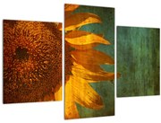 Tablou - Floarea soarelui (90x60 cm)