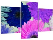 Tablou cu flori colorate (90x60 cm)