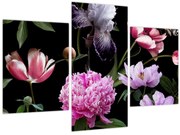 Tablou - Ilustrație de flori (90x60 cm)