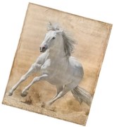 Pătură din microfibră BedTex Cal alb, 130 x 160 cm