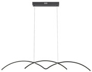 Lustra LED suspendata design modern River negru