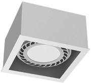 Brosline 1272 - Spot CAGE 1xGU10/18W/230V alb