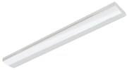 Corp de iluminat LED fluorescent EeL LED/31W/230V 4112lm APLED