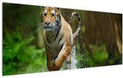 Tablou cu trigrul fugind (120x50 cm)