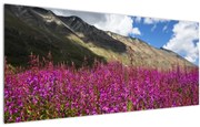 Tablou sceneriei cu lunca montană (120x50 cm)