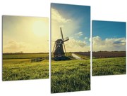 Tablou - Mori de vânt (90x60 cm)