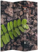 Paravan - Planta verde (126x170 cm)