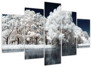 Tablou - Albă ca Zăpada Albă ca Zăpada Copaci (150x105 cm)