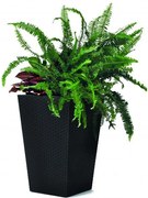 Rattan planter S