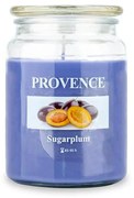Lumânare în borcan cu capac PRUNE DULCI, 510 g