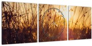 Tablou - Câmp la apus de soare (cu ceas) (90x30 cm)