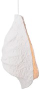 Lustra/Pendul LED design decorativ Concha