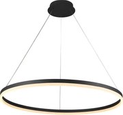 Brilagi - Lustră LED dimabilă pe cablu CIRCLE LED/55W/230V 3000-6500K negru + telecomandă