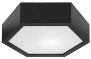 Plafonieră HEX 1xE27/60W/230V d. 32 cm negru pin