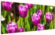 Tablou cu lale pe luncă (120x50 cm)