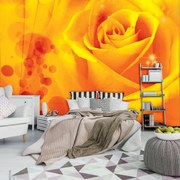 Fototapet - Arta abstactă (152,5x104 cm)