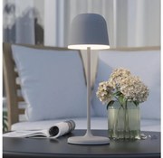 Eglo 900458 - Lampă LED exterioară reglabilă MANNERA 2,2W/5V 1800 mAh IP54