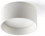 Spot LED aplicat tavan MIZU 15W alb