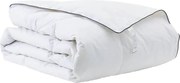 vidaXL Duvet de iarnă Alb 155 x 200 cm Pene