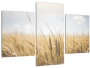 Tablou cu grâne (90x60 cm)