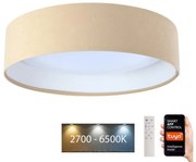 Plafonieră LED SMART GALAXY LED/24W/230V Wi-Fi Tuya bej/albă + telecomandă