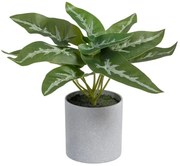 Plantă artificială (înălțime 21 cm) Syngonium – Ixia
