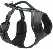 PetSafe Hamă EasySport negru M