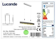 Lustră LED pe cablu dimabilă LIO 5xLED/5W/230V Lucande