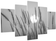 Tablou - Pajiște la apus (150x105 cm)