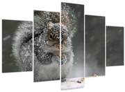 Tablou - Veveriță iarna (150x105 cm)