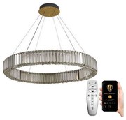 Lustră LED dimabilă pe cablu LED/50W/230V 3000-6500K crom/auriu + telecomandă