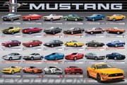 Poster Ford Mustang Evolution 50th Ls