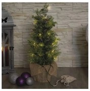 Decorațiune de Crăciun LED 30xLED/3xAA IP44