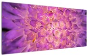 Tablou detailat cu floare (120x50 cm)