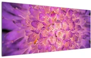 Tablou detailat cu floare (120x50 cm)