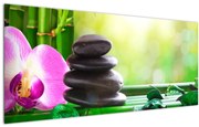 Tablou cu pietre pentru masaj și orhidee (120x50 cm)