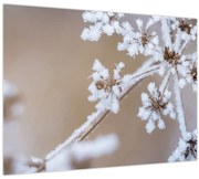 Tablou - Îngheț (70x50 cm)