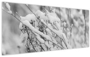 Tablou - Ramuri înzăpezite (120x50 cm)
