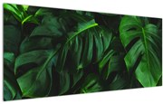 Tablou cu frunze Monstery (120x50 cm)