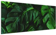 Tablou cu frunze Monstery (120x50 cm)