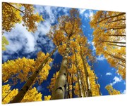 Tablou - Aspen (90x60 cm)