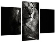 Tablou - Leu (90x60 cm)