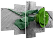 Tablou - Trandafir verde (150x105 cm)