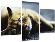 Tablou cu pisica (90x60 cm)