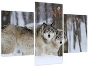 Tablou - Lupii în timpul iernii (90x60 cm)