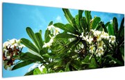 Tablou - Plumeria (120x50 cm), în 40 de alte dimensiuni noi