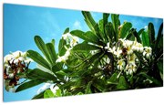 Tablou - Plumeria (120x50 cm)